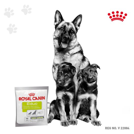 Royal Canin Educ (Nutritional Treats)