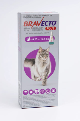 Bravecto Plus Spot-On for Cats (6.25kg - 12.5kg)