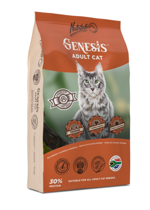 Genesis Adult Cat