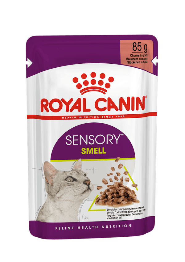 Royal Canin Wet Cat Food Sensory Smell Gravy Pouch 85g