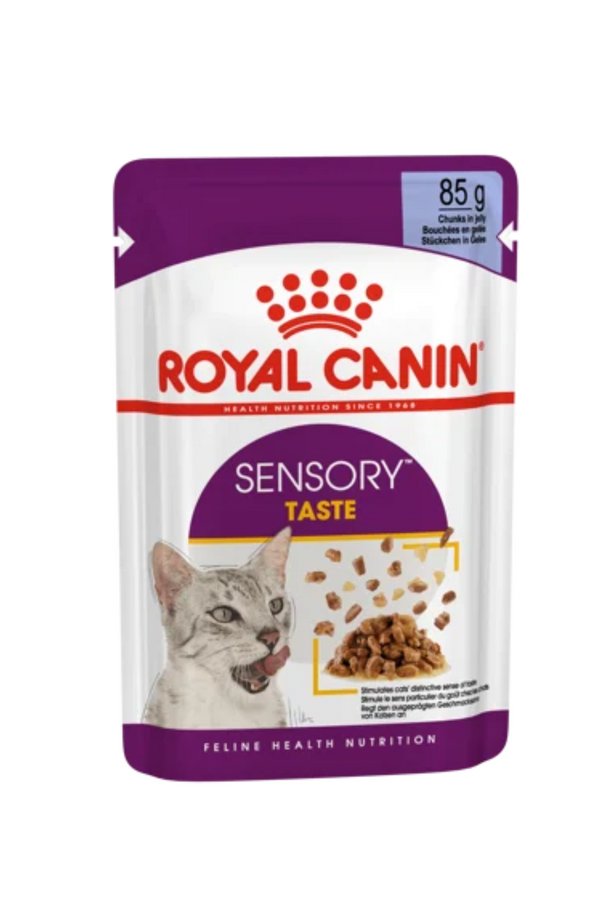 Royal Canin Wet Cat Food Sensory Taste Gravy Pouch 85g