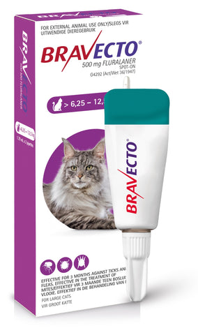 Bravecto Spot-on for Cats (6.25 to 12.5kg)