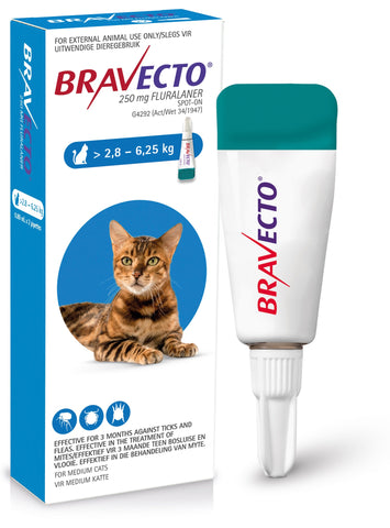 Bravecto Spot-On for Cats (2.8 to 6.25kg)