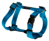 Dog H-Harness Classic, Utility, Small 11mm